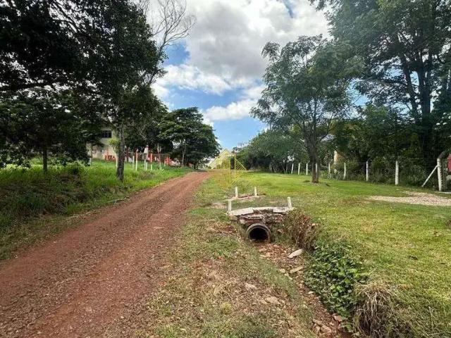 Terreno venda em Região Geográfica Imediata de Toledo, Toledo