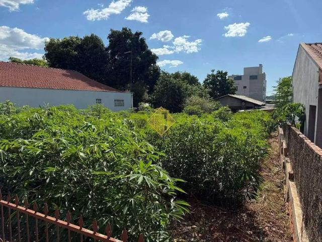 Terreno venda em Região Geográfica Imediata de Toledo, Toledo