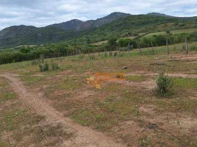 Terreno venda em Região Geográfica Imediata de Caruaru, Toritama