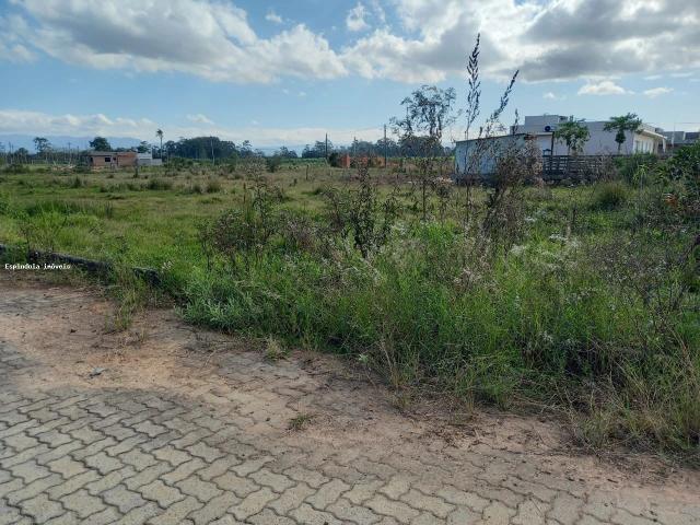 Terreno venda em Torres