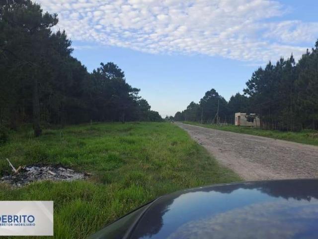 Terreno venda em Região Geográfica Imediata de Tramandaí - Osório, Aglomeração Urbana do Litoral Norte