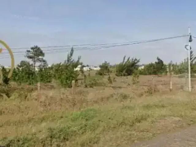 Terreno venda em Região Geográfica Imediata de Tramandaí - Osório, Aglomeração Urbana do Litoral Norte
