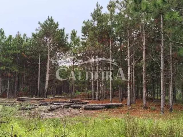 Terreno venda em Região Geográfica Imediata de Tramandaí - Osório, Aglomeração Urbana do Litoral Norte