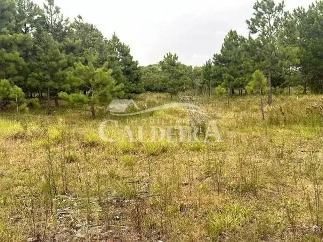 Terreno venda em Região Geográfica Imediata de Tramandaí - Osório, Aglomeração Urbana do Litoral Norte