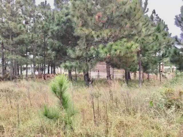 Terreno venda em Região Geográfica Imediata de Tramandaí - Osório, Aglomeração Urbana do Litoral Norte
