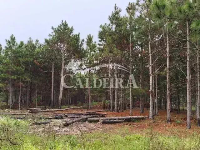 Terreno venda em Região Geográfica Imediata de Tramandaí - Osório, Aglomeração Urbana do Litoral Norte