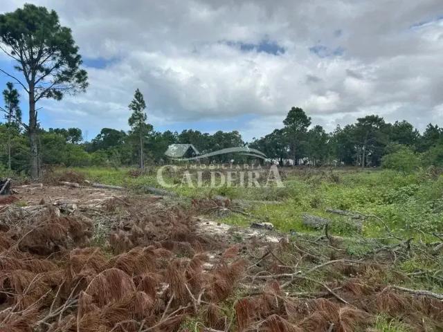 Terreno venda em Região Geográfica Imediata de Tramandaí - Osório, Aglomeração Urbana do Litoral Norte