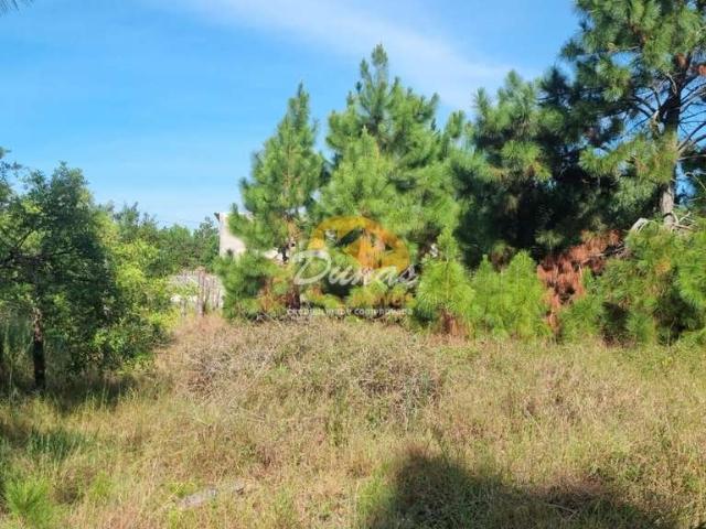 Terreno venda em Região Geográfica Imediata de Tramandaí - Osório, Aglomeração Urbana do Litoral Norte
