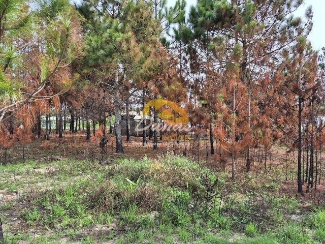 Terreno venda em Região Geográfica Imediata de Tramandaí - Osório, Aglomeração Urbana do Litoral Norte