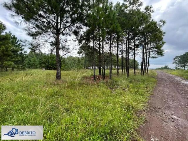 Terreno venda em Região Geográfica Imediata de Tramandaí - Osório, Aglomeração Urbana do Litoral Norte