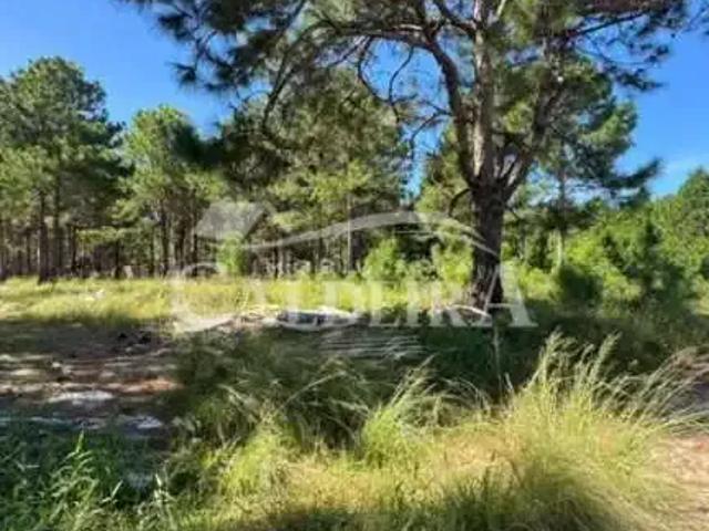 Terreno venda em Região Geográfica Imediata de Tramandaí - Osório, Aglomeração Urbana do Litoral Norte
