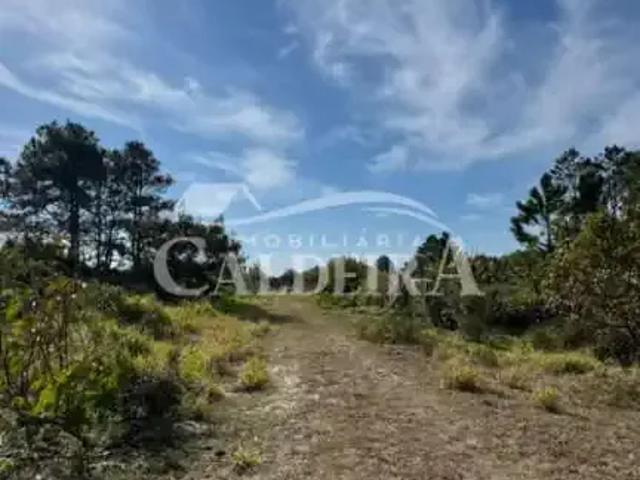 Terreno venda em Região Geográfica Imediata de Tramandaí - Osório, Aglomeração Urbana do Litoral Norte