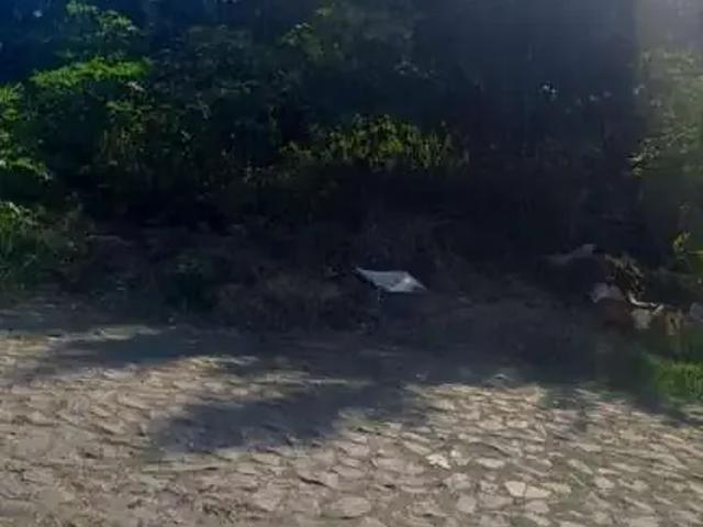 Terreno venda em Região Geográfica Imediata de Tramandaí - Osório, Aglomeração Urbana do Litoral Norte