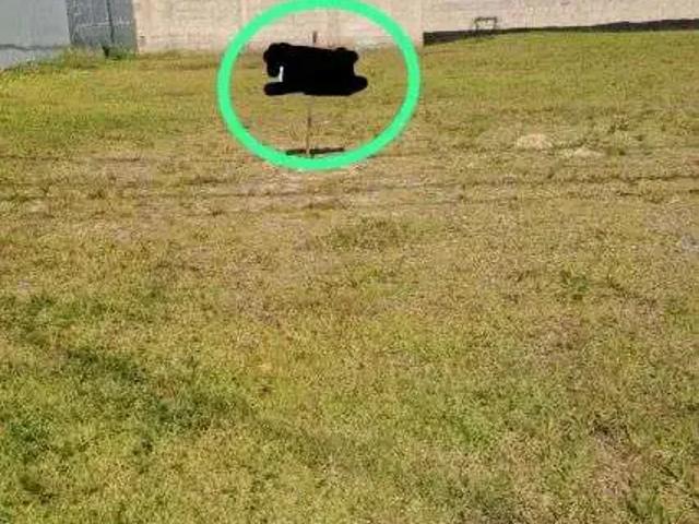 Terreno venda em Região Imediata de Taubaté-Pindamonhangaba, Região Metropolitana do Vale do Paraíba e Litoral Norte