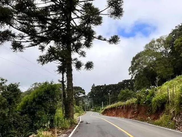 Terreno venda em Região Geográfica Imediata de Taquara - Parobé - Igrejinha, Três Coroas