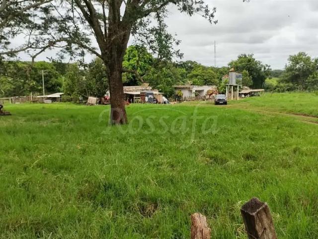 Terreno venda em Região Imediata de Santa Fé do Sul, Três Fronteiras