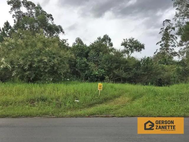 Terreno venda em Região Geográfica Imediata de Criciúma, Treviso