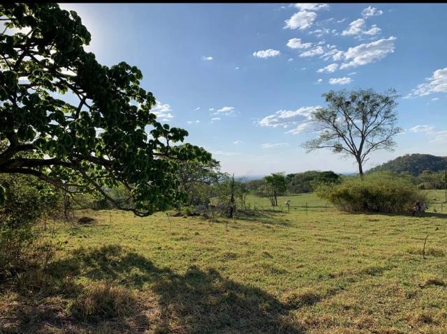 Terreno venda em Jardim Floresta, Trindade