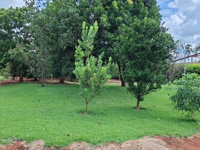 Terreno venda em Jardim Decolores, Trindade