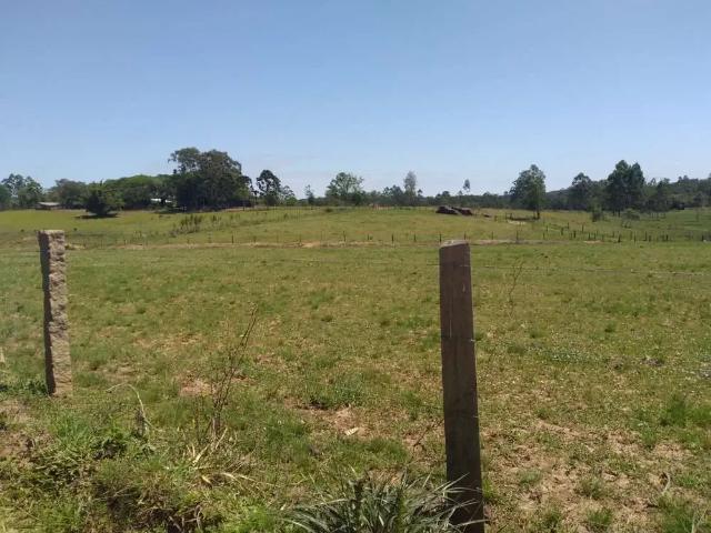 Terreno venda em Região Geográfica Imediata de Charqueadas - Triunfo - São Jerônimo, Região Metropolitana de Porto Alegre