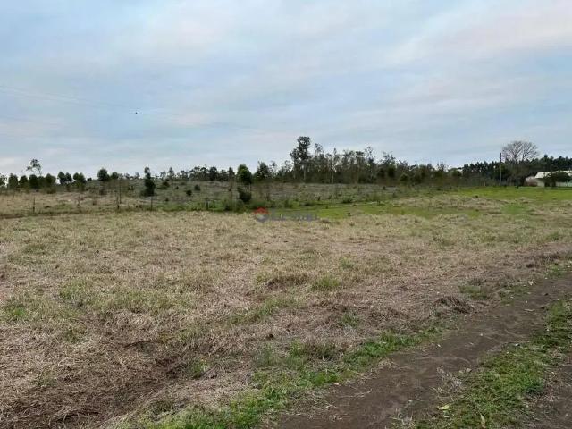 Terreno venda em Região Geográfica Imediata de Charqueadas - Triunfo - São Jerônimo, Região Metropolitana de Porto Alegre