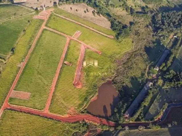 Terreno venda em Tuiuti
