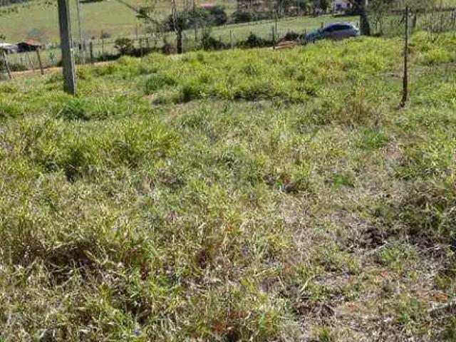 Terreno venda em Tuiuti