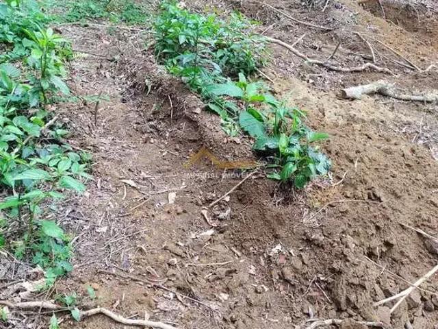 Terreno venda em Região Imediata de Caraguatatuba-Ubatuba-São Sebastião, Região Metropolitana do Vale do Paraíba e Litoral Norte