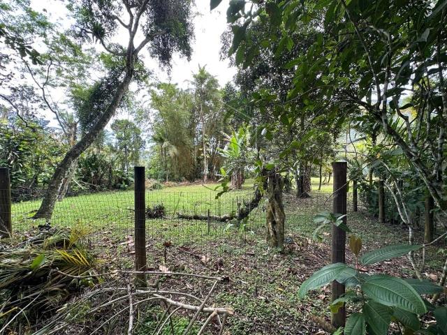 Terreno venda em Ubatuba