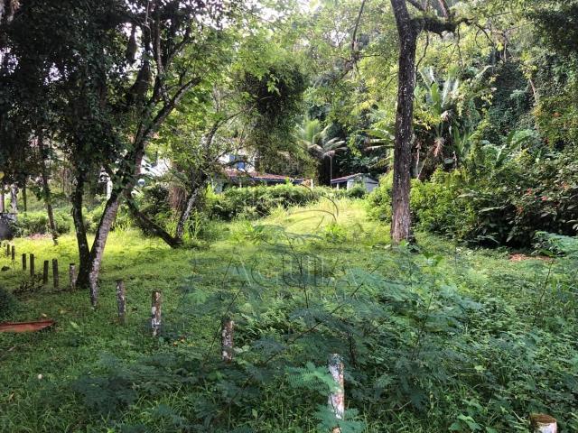 Terreno venda em Ubatuba