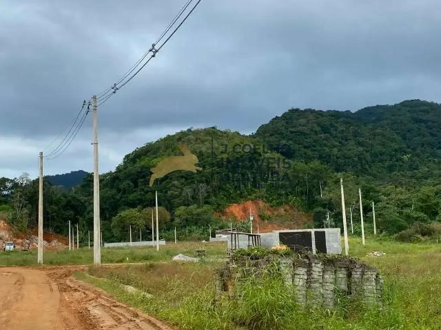 Terreno venda em Ubatuba