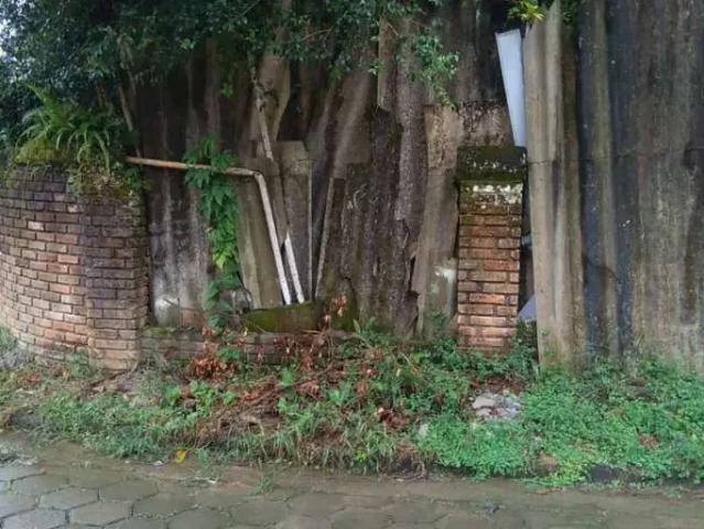 Terreno venda em Região Imediata de Caraguatatuba-Ubatuba-São Sebastião, Região Metropolitana do Vale do Paraíba e Litoral Norte