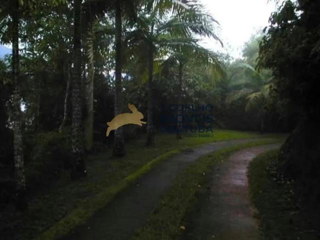 Terreno venda em Ubatuba