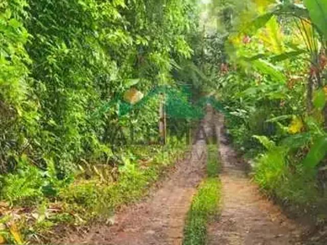 Terreno venda em Ubatuba, Região Geográfica Intermediária de São José dos Campos