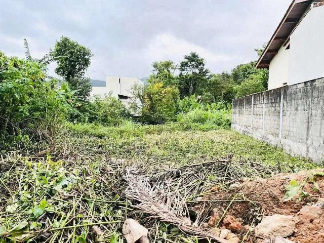 Terreno venda em Ubatuba