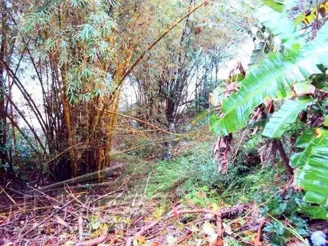 Terreno venda em Região Imediata de Caraguatatuba-Ubatuba-São Sebastião, Região Metropolitana do Vale do Paraíba e Litoral Norte