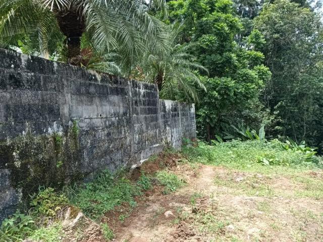 Terreno venda em Região Imediata de Caraguatatuba-Ubatuba-São Sebastião, Região Metropolitana do Vale do Paraíba e Litoral Norte