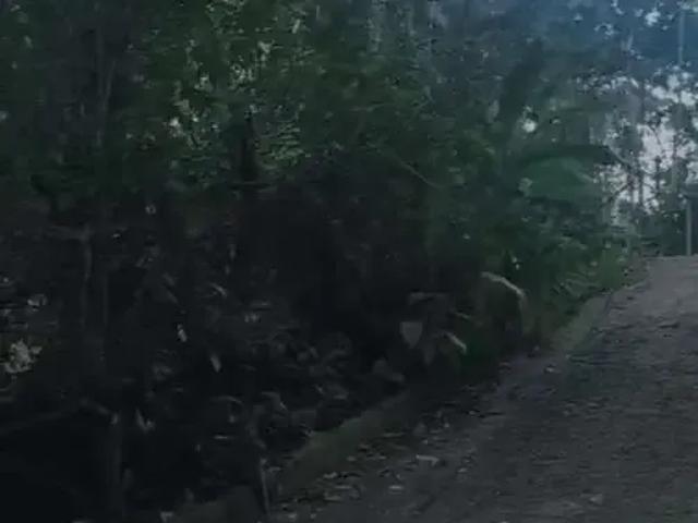 Terreno venda em Região Imediata de Caraguatatuba-Ubatuba-São Sebastião, Região Metropolitana do Vale do Paraíba e Litoral Norte