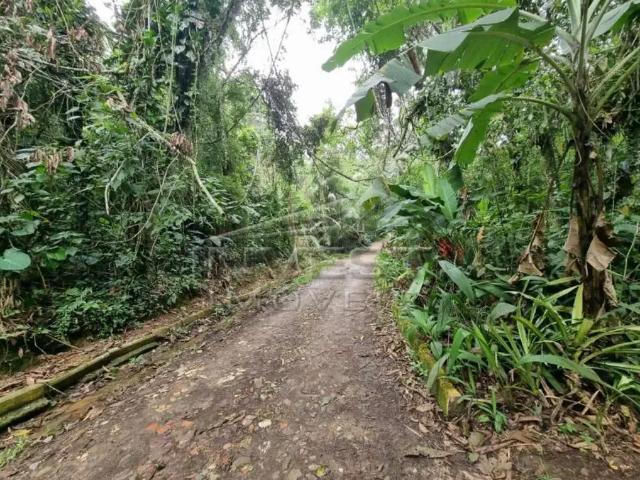Terreno venda em Região Imediata de Caraguatatuba-Ubatuba-São Sebastião, Região Metropolitana do Vale do Paraíba e Litoral Norte