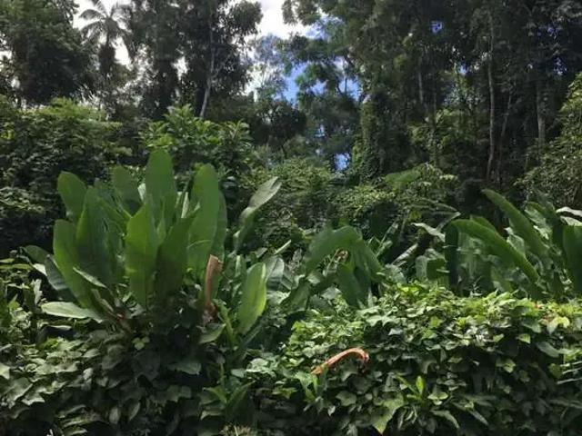 Terreno venda em Região Imediata de Caraguatatuba-Ubatuba-São Sebastião, Região Metropolitana do Vale do Paraíba e Litoral Norte