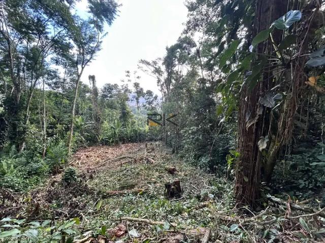 Terreno venda em Região Imediata de Caraguatatuba-Ubatuba-São Sebastião, Região Metropolitana do Vale do Paraíba e Litoral Norte