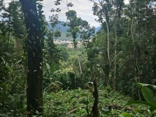 Terreno venda em Ubatuba