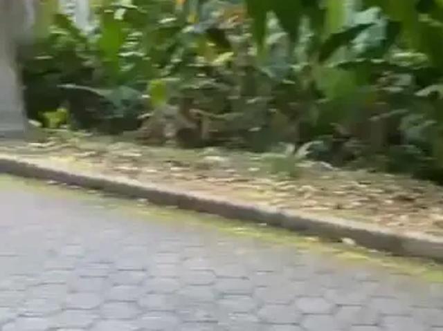 Terreno venda em Região Imediata de Caraguatatuba-Ubatuba-São Sebastião, Região Metropolitana do Vale do Paraíba e Litoral Norte
