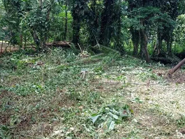 Terreno venda em Região Imediata de Caraguatatuba-Ubatuba-São Sebastião, Região Metropolitana do Vale do Paraíba e Litoral Norte