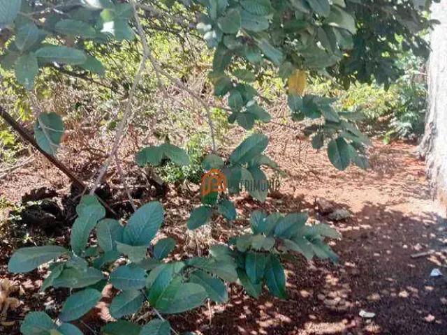 Terreno venda em Vila Militar, Uberaba