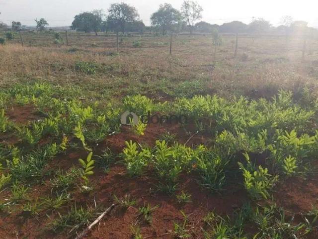 Terreno venda em Região Geográfica Imediata de Uberaba, Uberaba