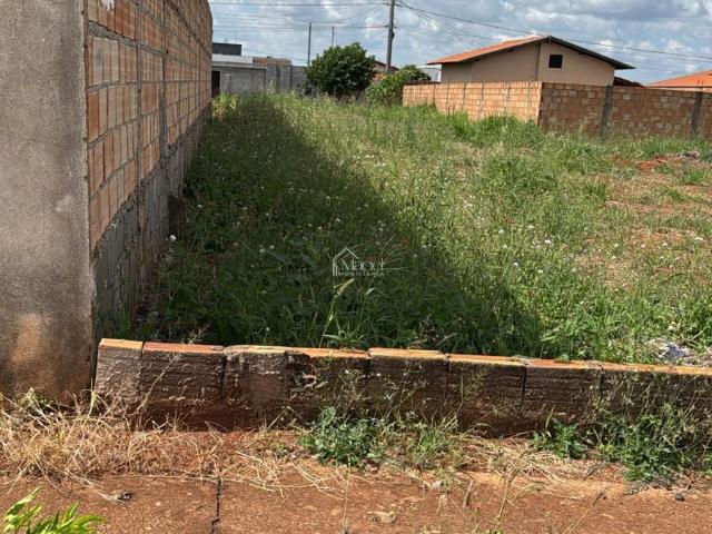Terreno venda em São Geraldo, Uberaba