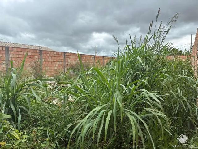 Terreno venda em Região Geográfica Imediata de Uberaba, Uberaba