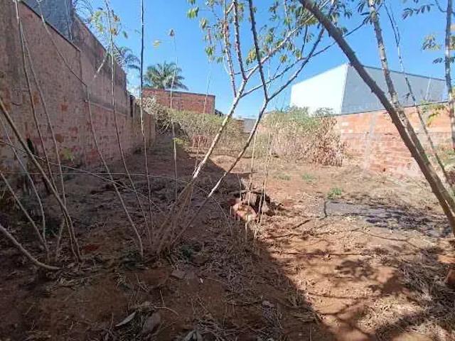 Terreno venda em Região Geográfica Imediata de Uberaba, Uberaba