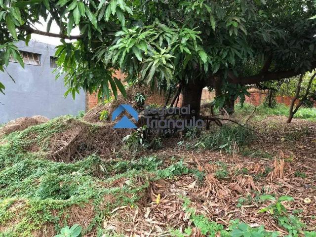 Terreno venda em Região Geográfica Imediata de Varginha, Varginha